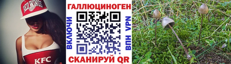 Псилоцибиновые грибы GOLDEN TEACHER  цена   Пугачёв 